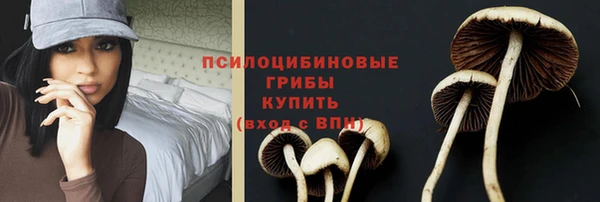 шишки Кодинск