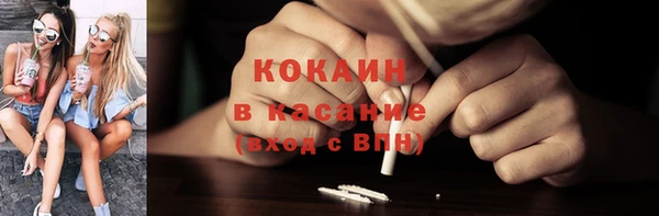 шишки Кодинск