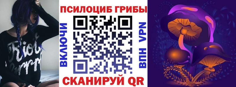 Псилоцибиновые грибы MAGIC MUSHROOMS  наркошоп  Шахунья 