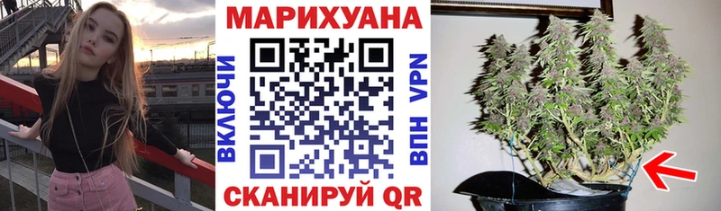 купить наркотик  Шахунья  Канабис AK-47 